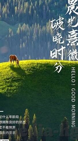 视频在线麻豆-网络新视界，视频在线麻豆的多元化影响与探索